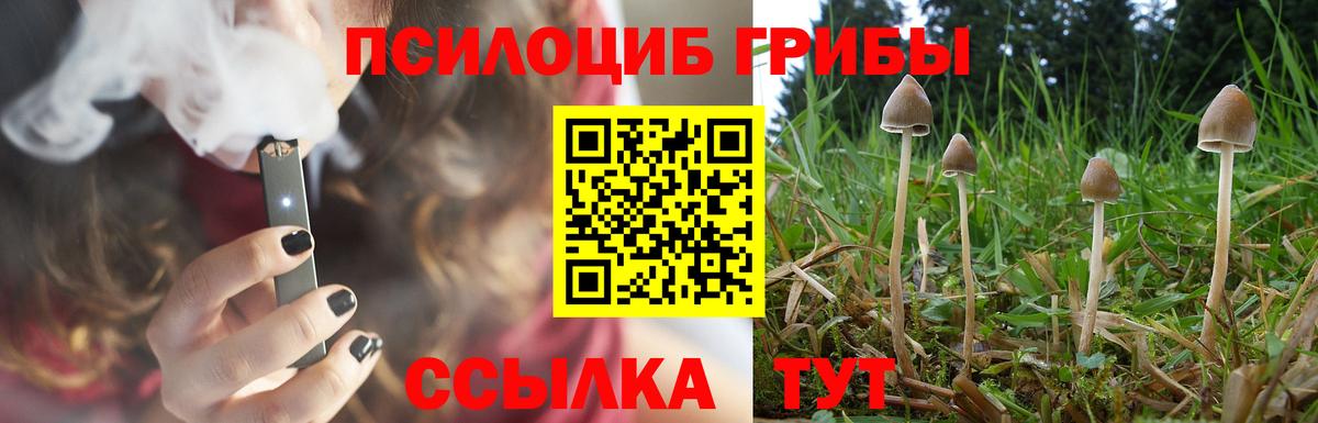 Галлюциногенные грибы MAGIC MUSHROOMS Первоуральск